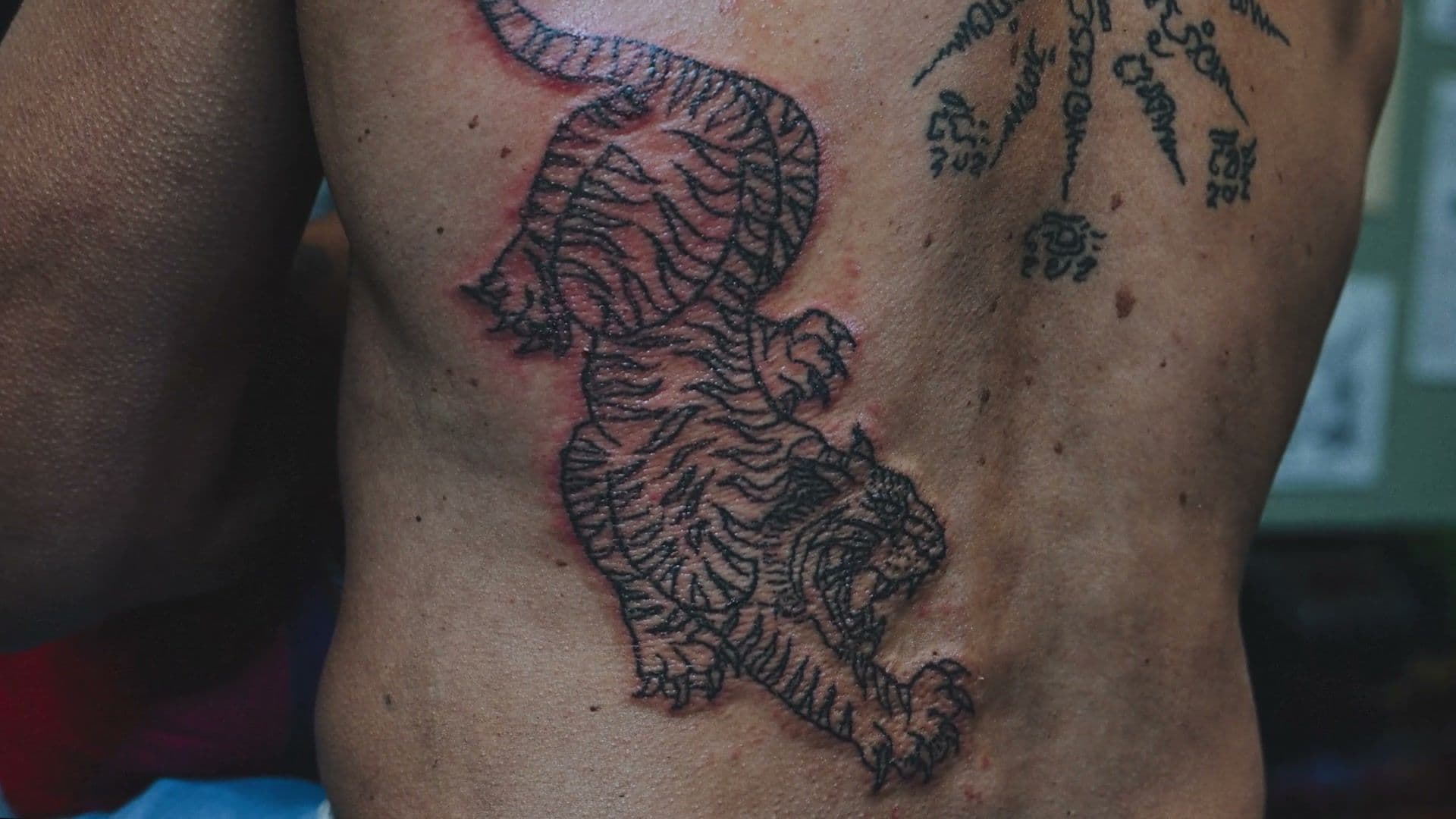 Tijger tattoo betekenis: de Suea Sak Yant uitgelegd